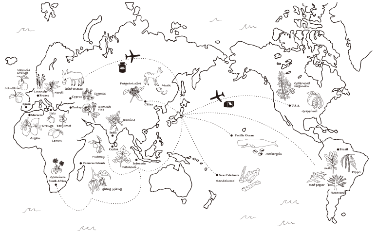 ブログ「モノオス」オゥパラディのHPにある世界地図の画像